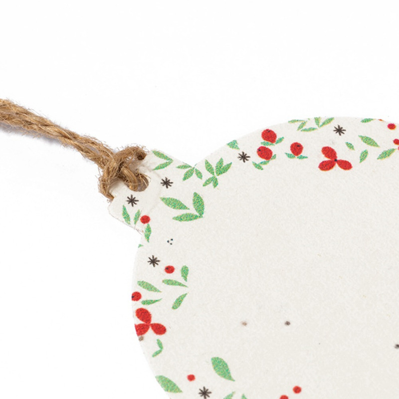 Adorno navidad semillas (1)