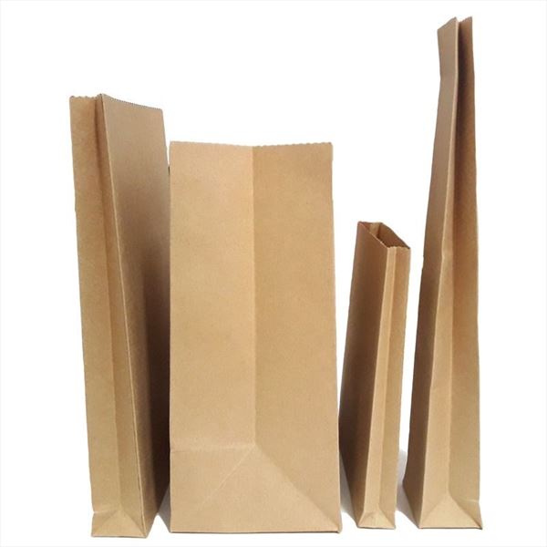 Bolsa kraft en 4 medidas (1)