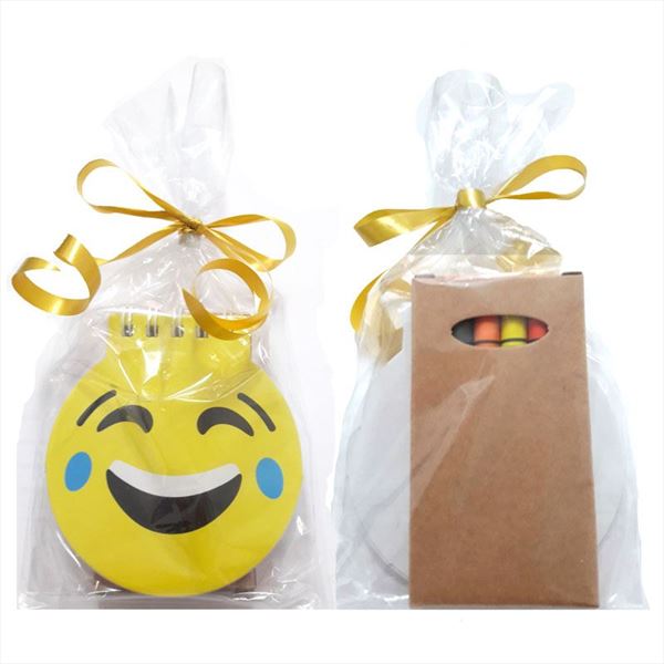 Libreta emoji y pinturas con bolsita