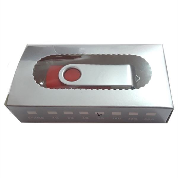 Memoria USB 8 GB (2)