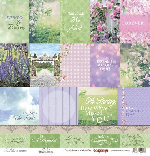 Papel 12x12 Simple in Bloom "Cards"